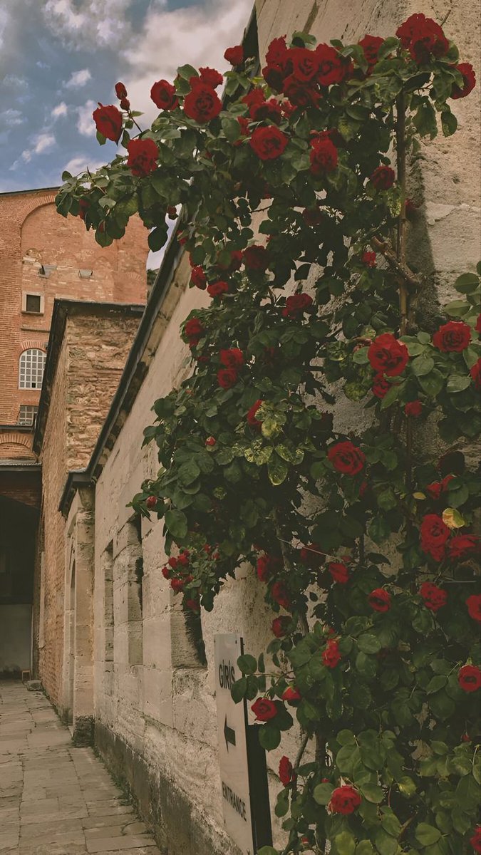 Hz. Âişe Mektebi tweet media