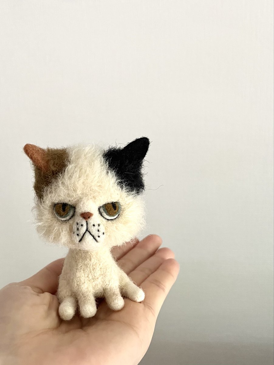 三毛猫ちゃん。

#needlefelting #ブサ猫