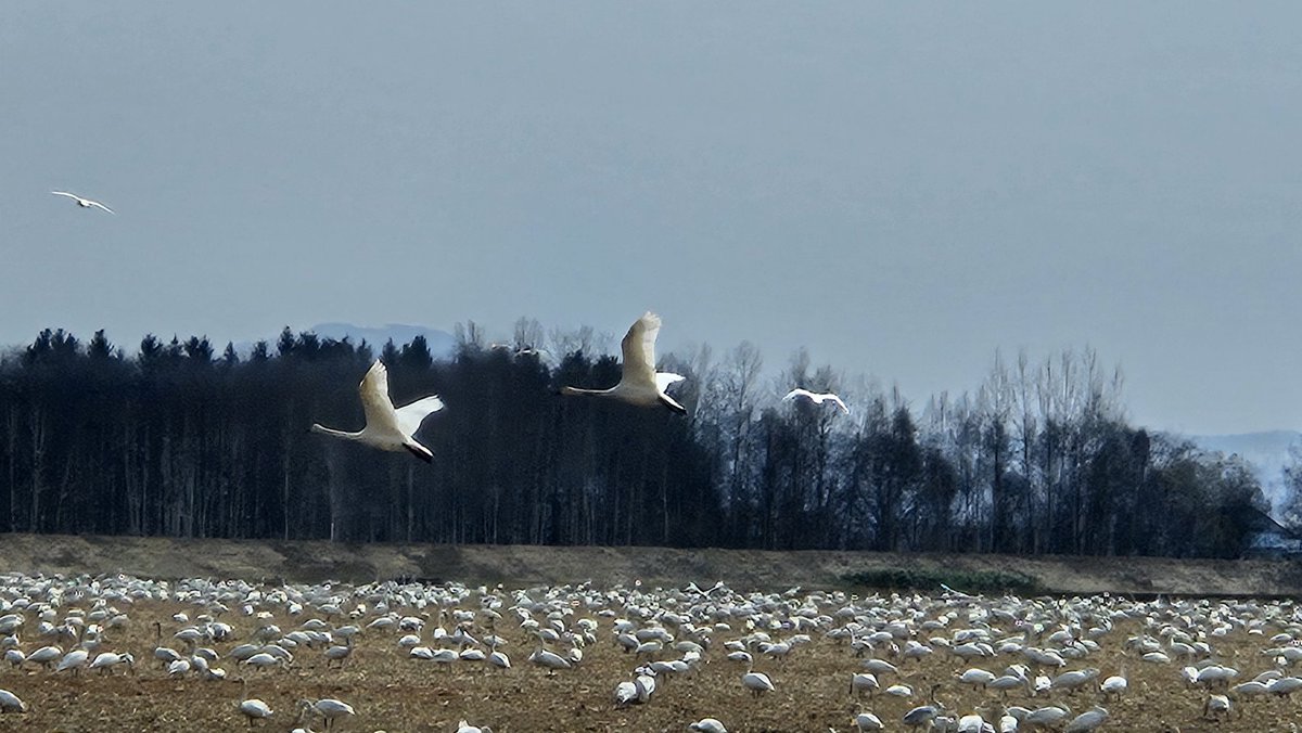 かっちゃん、 tweet media