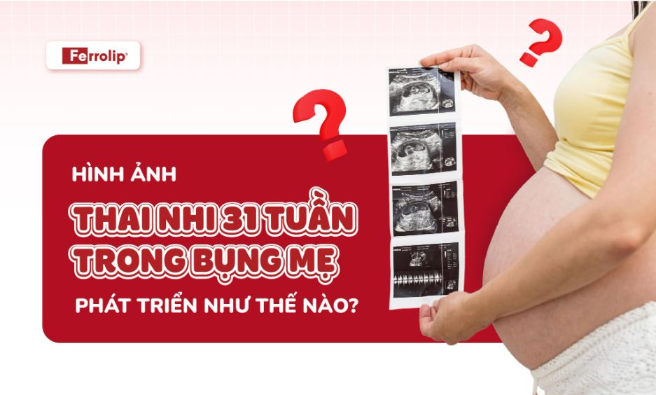 bsbinhferrolip's tweet image. Hình ảnh thai nhi 31 tuần trong bụng mẹ phát triển như thế nào?

➡️➡️➡️ ferrolip.vn/hinh-anh-thai-…

#ferrolipbau #ferrolip #satbaovinang #satfebaufe