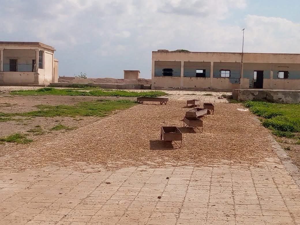 فواز الذياب tweet media