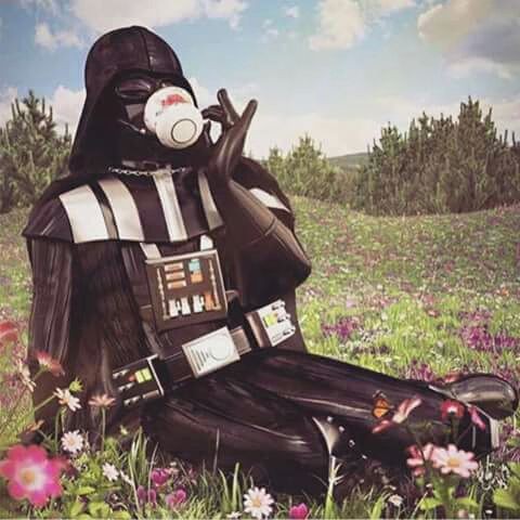 paranóia tweet media