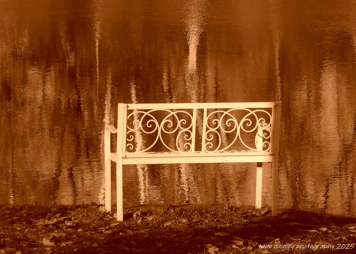 tamitrailscapes's tweet image. Trailscapes ... Fine Art Photography by Tami Quigley: Reverie And Reflection ... trailscapes-tami.blogspot.com/2026/04/reveri… #new #blogpost #BuyintoArt #sepia #benches #reflections #river #autumn #lehighvalleyphotographer #LehighValley @LehighValleyPA @visitPA #Northampton @DLNHC #photoart #art