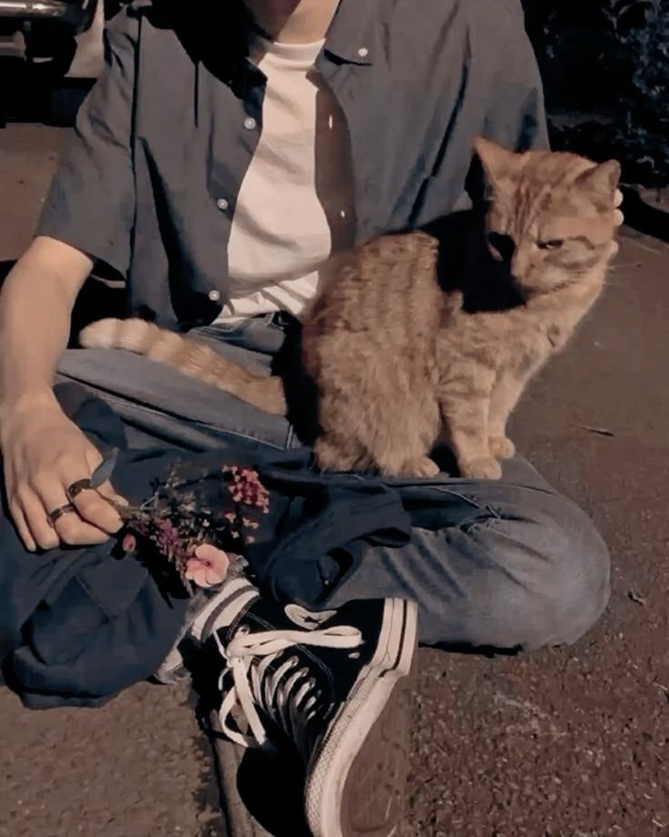 Ted Tonks tweet media