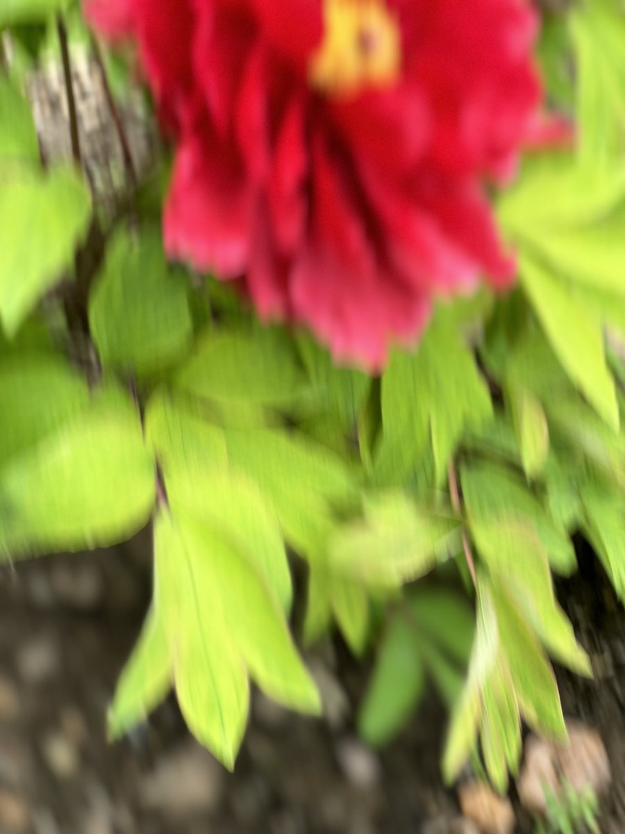 不抽细烟 tweet media