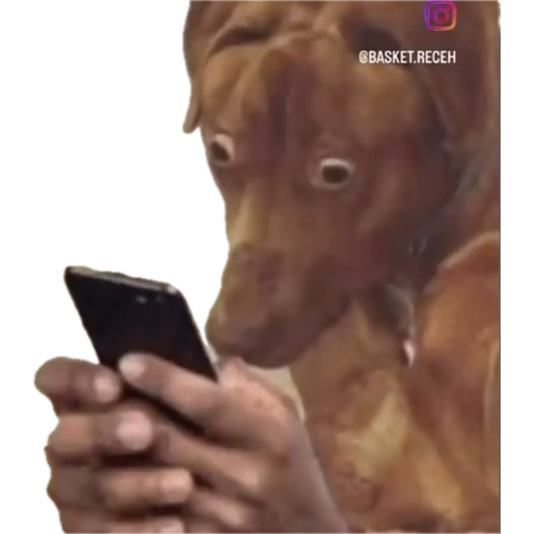 Stoic Fool tweet media