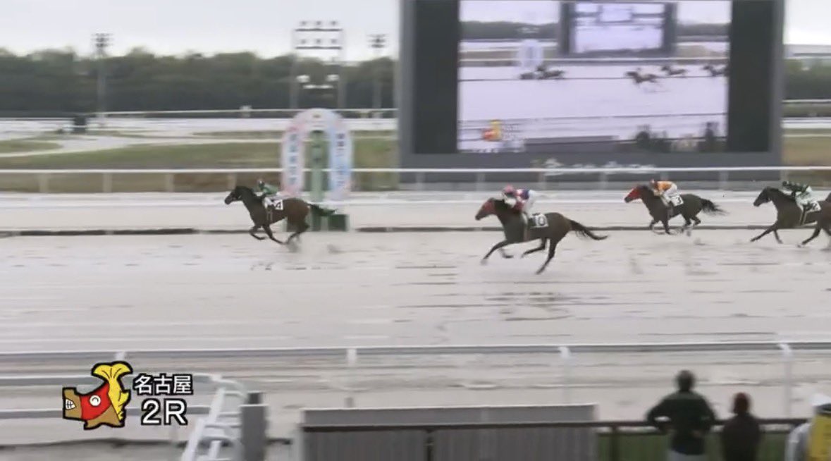 れいな　競馬予想/穴頭 tweet media