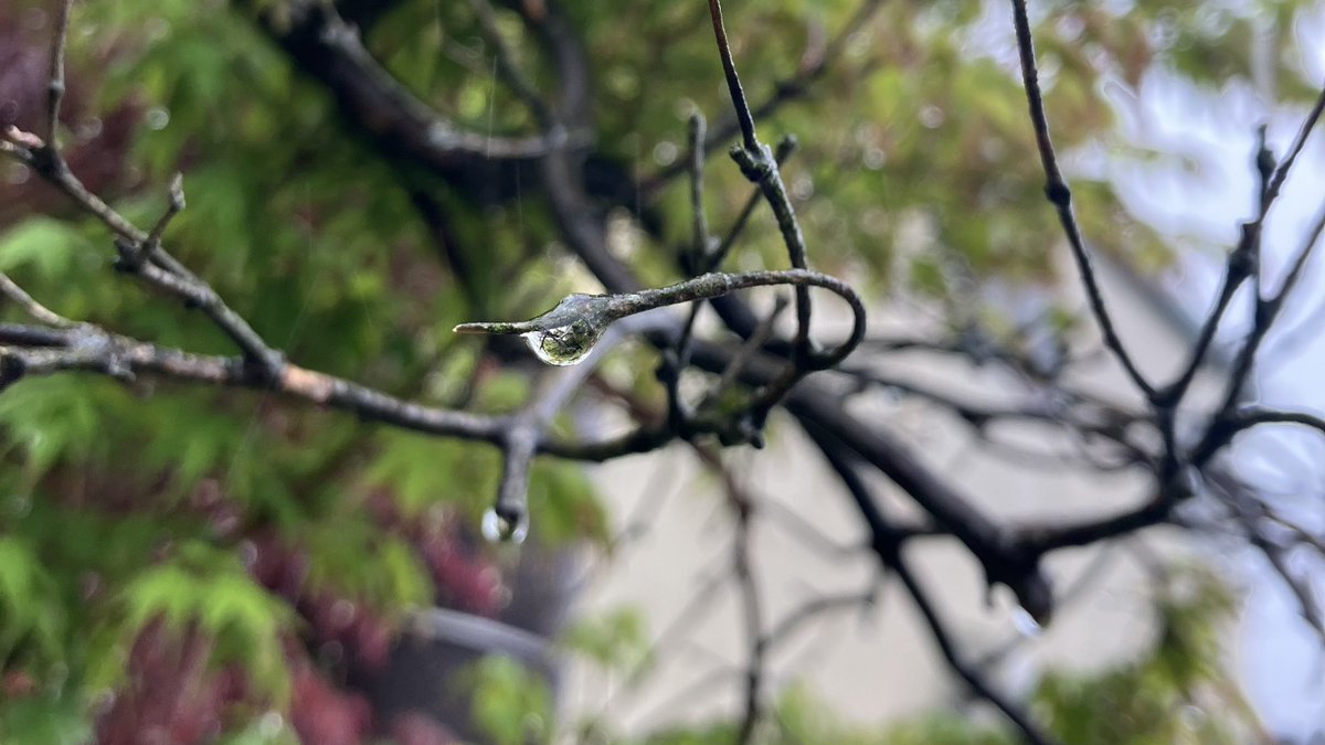 小野まとぺ（志太国観光超³御師） tweet media