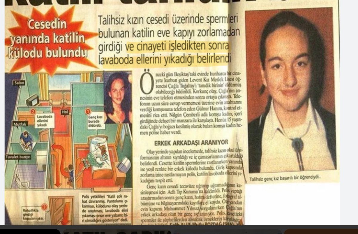 Ivana Ipek tweet media