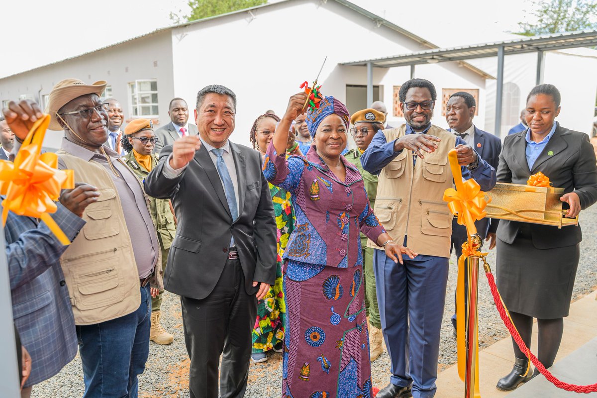 杜晓晖DU Xiaohui tweet media