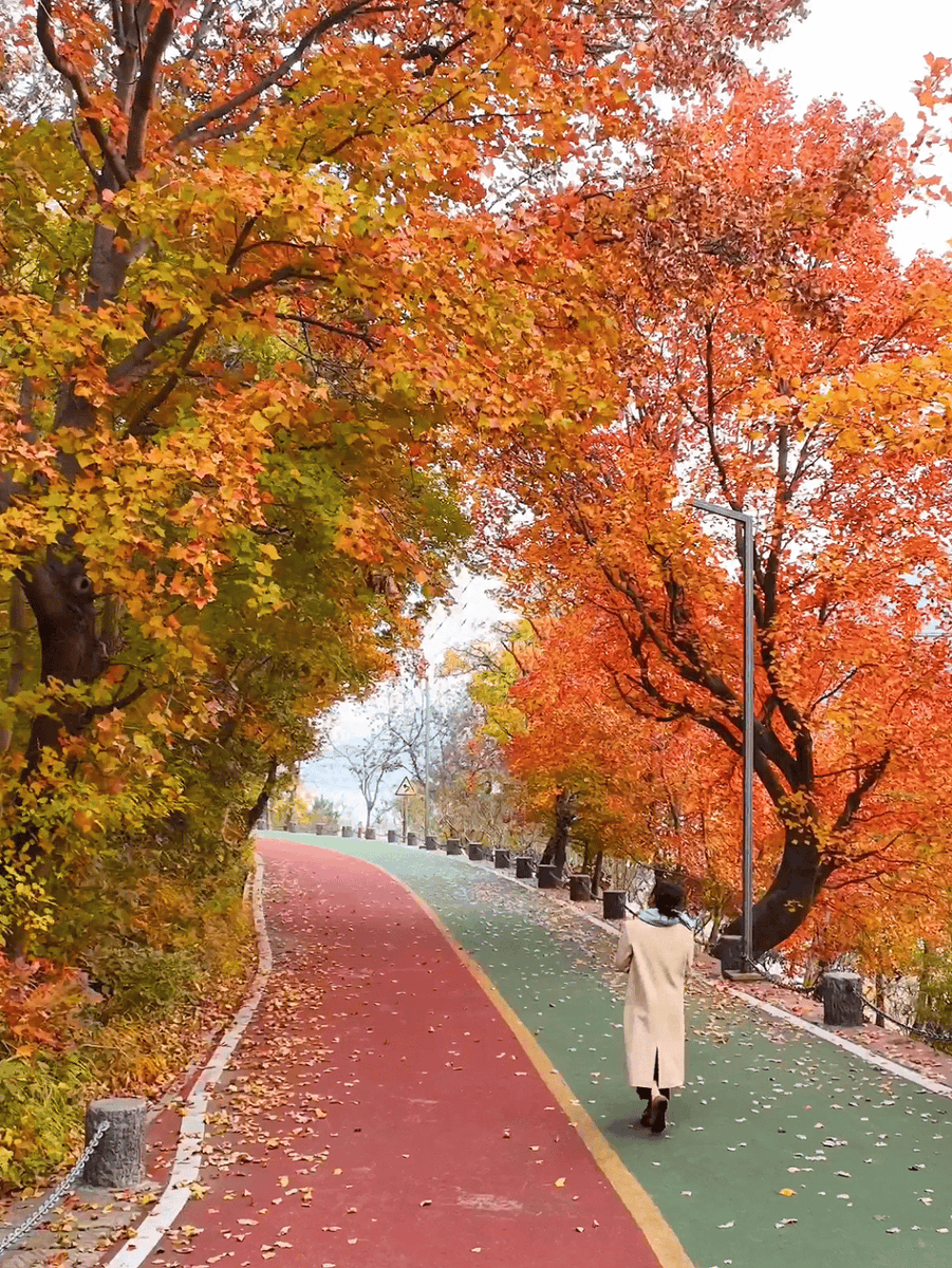 ElementB13's tweet photo. Autumn breeze, golden leaves, and cozy afternoons—perfect for a warm drink u0026 slow walks. https://t.co/dap44qhiup