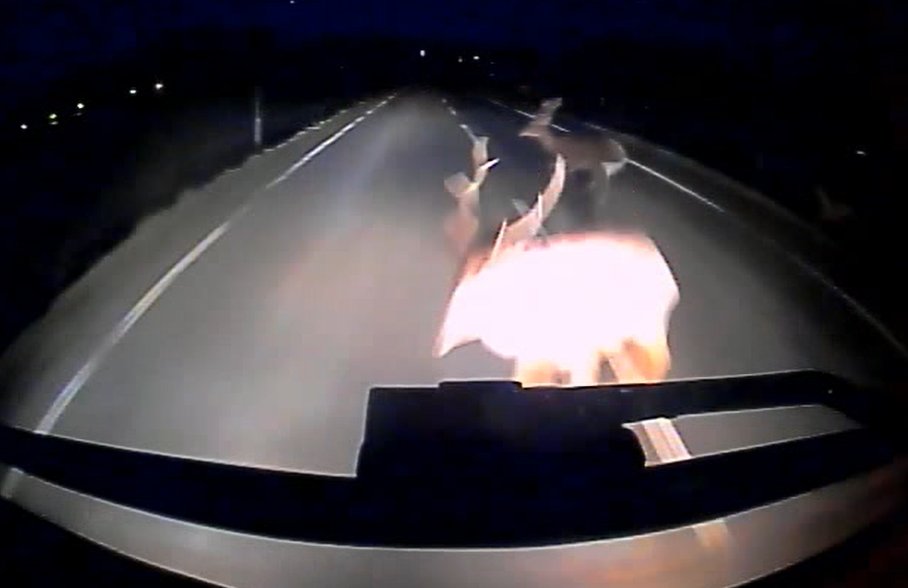 沿岸バス＠5/2, 5/6 臨時はぼろ号運行 tweet media