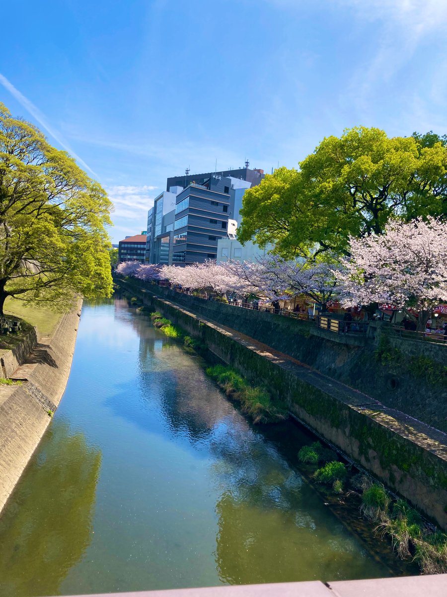 りゃま🦙blog🧵🎮 tweet media