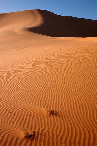 aseelswaid9's tweet photo. the Libyan desert https://t.co/JFOmKMUQvi