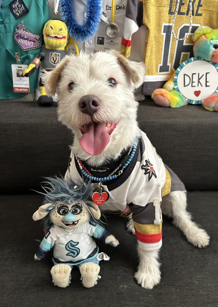 DekeHenriFurry's tweet photo. I’m ready for the hockey!
~ Deke🐾
#VegasBorn
#GoKnightsGo
#VGKvsSEA https://t.co/solJe0dUaG