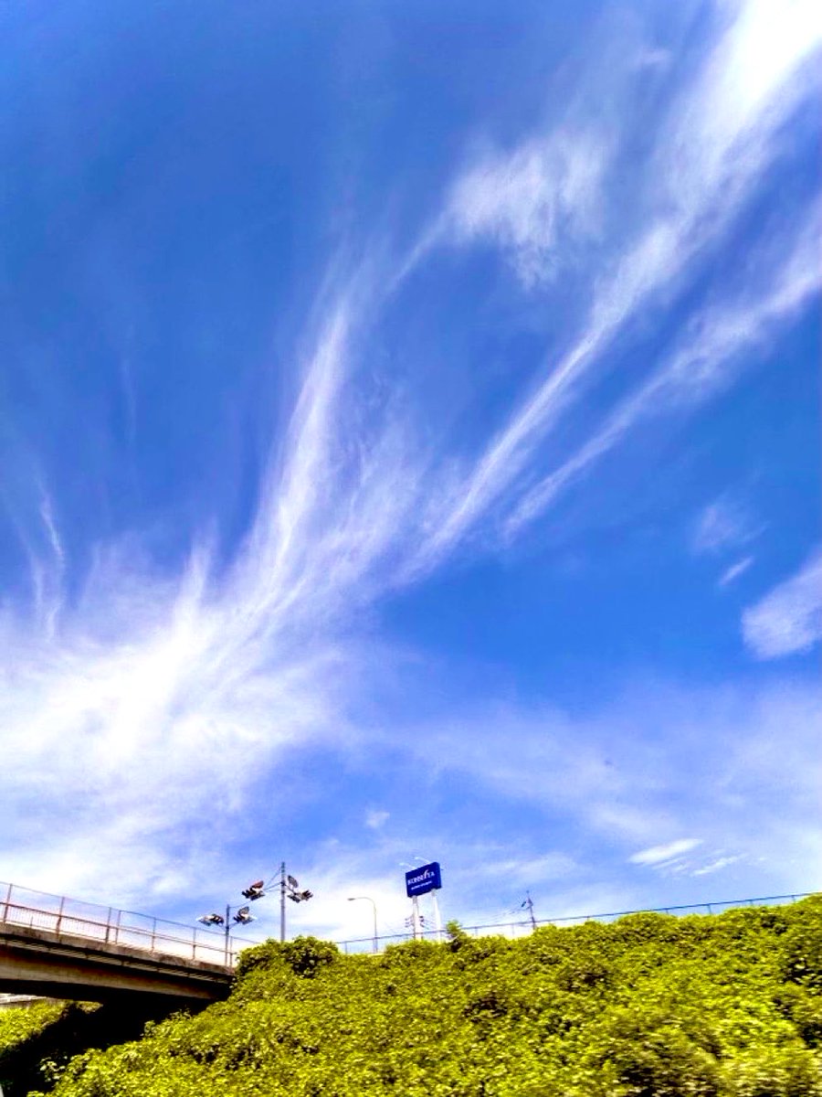 ながい本部長 tweet media