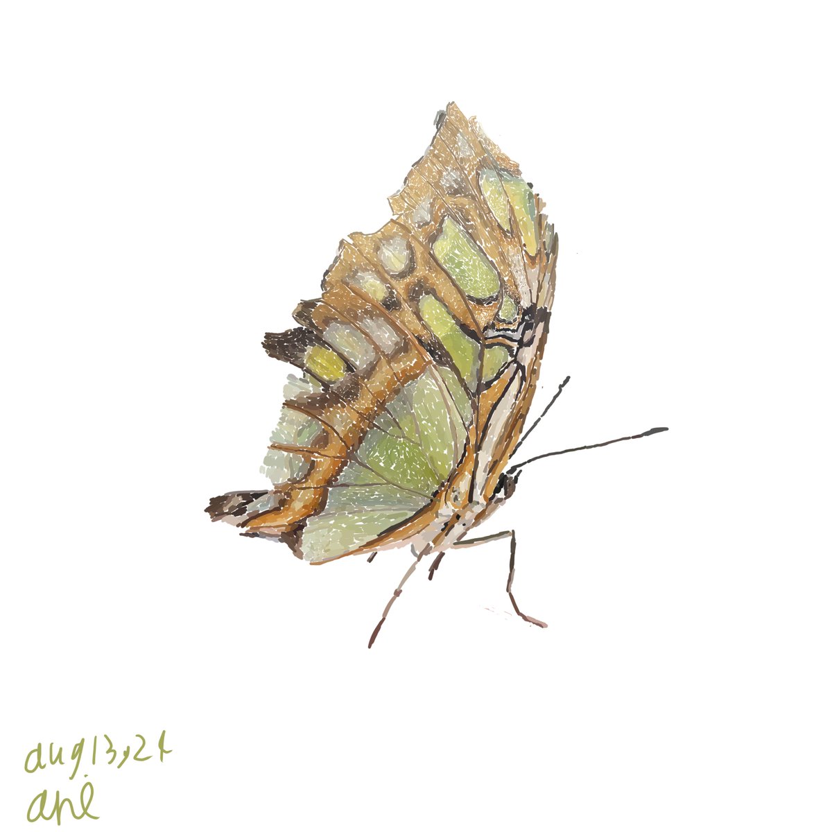 Mark Wright tweet media