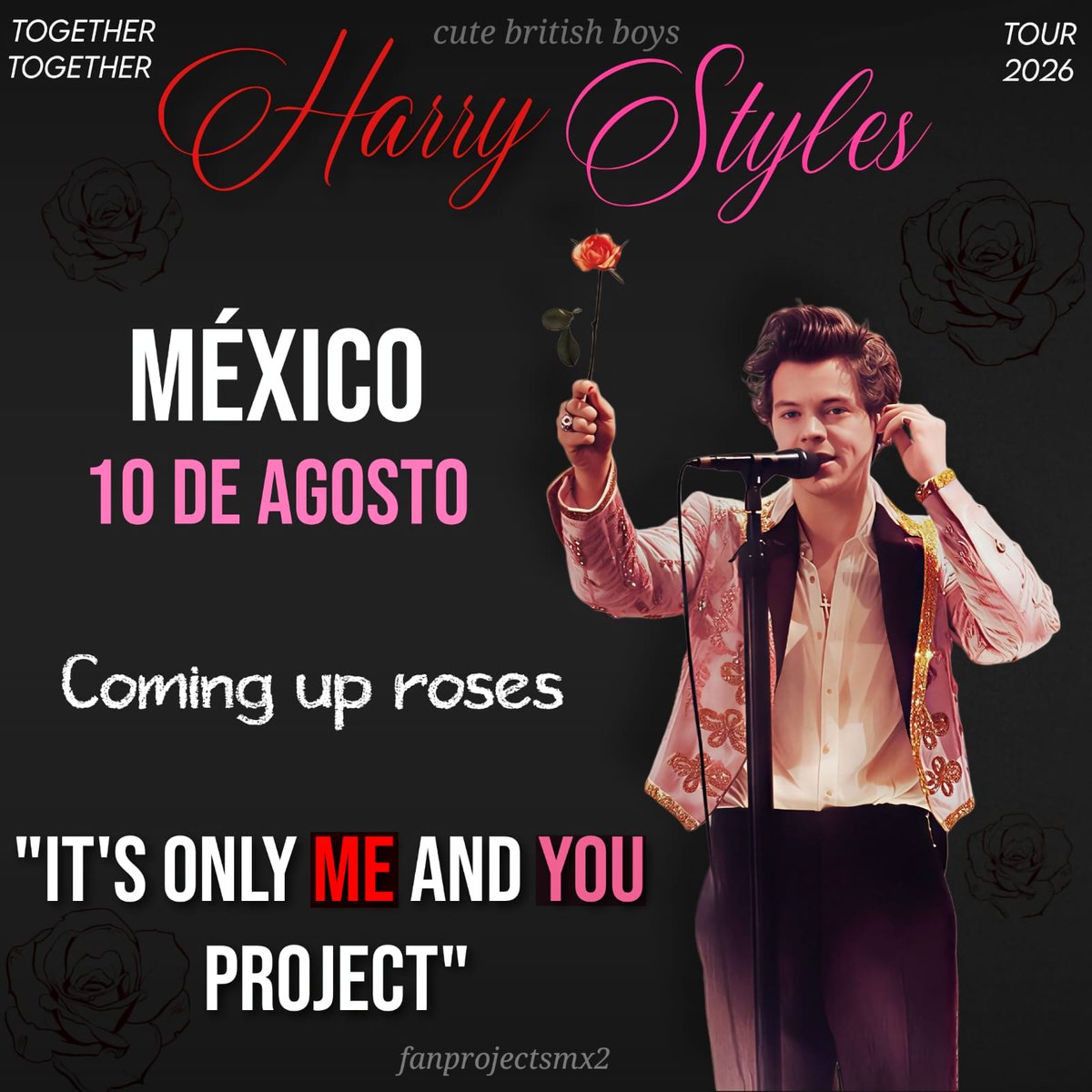 Harry Styles México 💋🪩 tweet media
