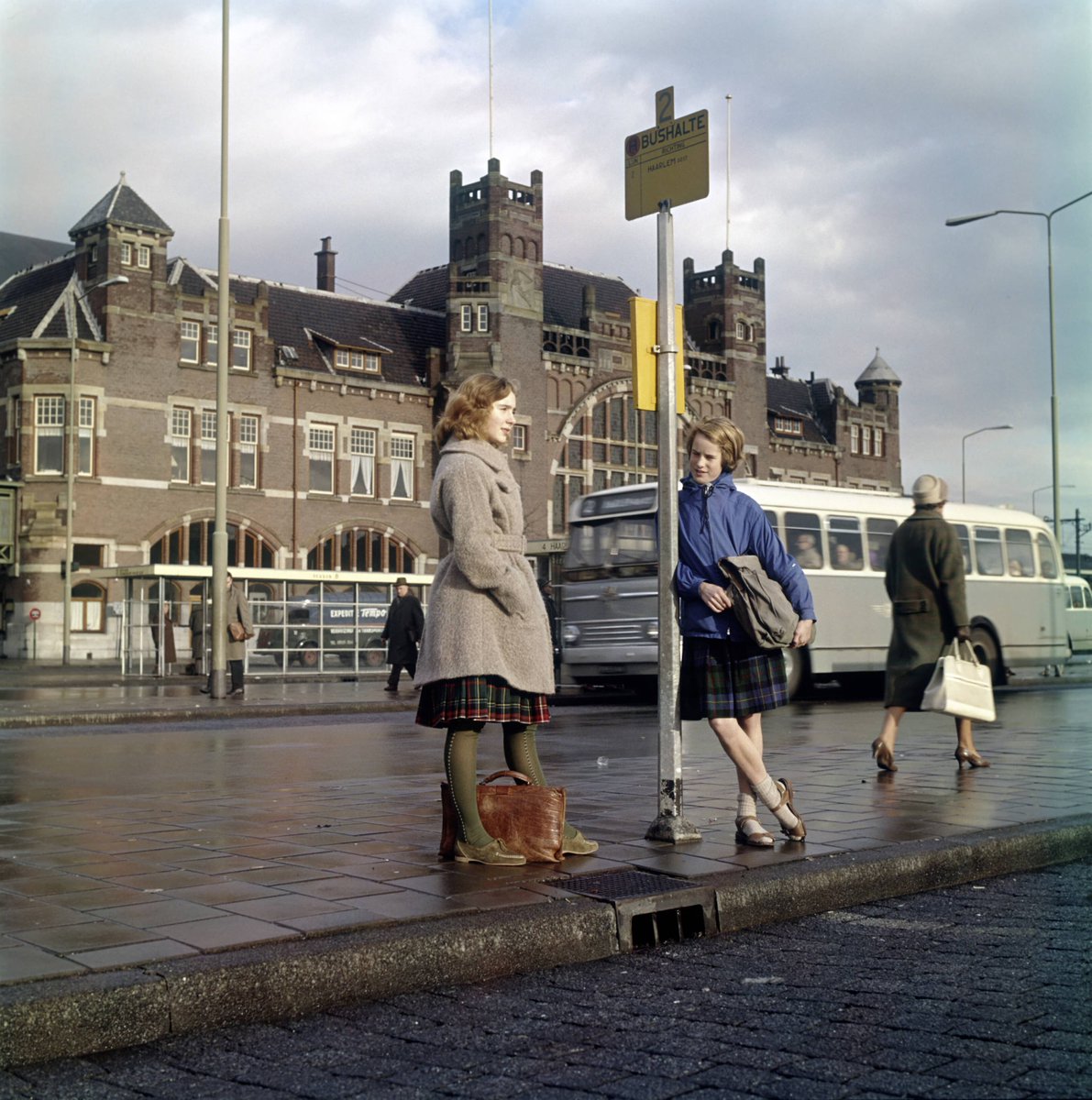 Brad 🇳🇱 tweet media