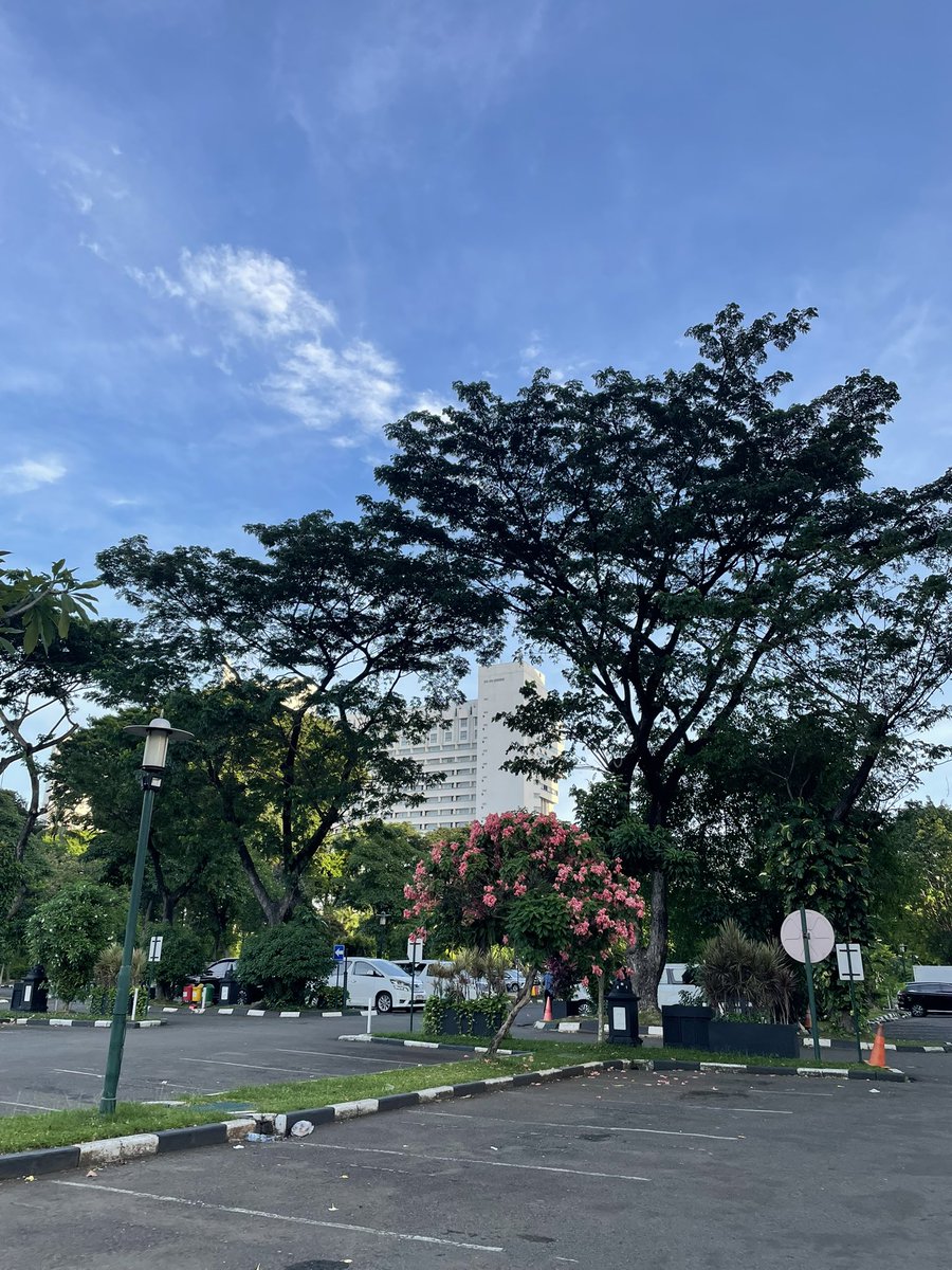 lori, ً𐙚 tweet media