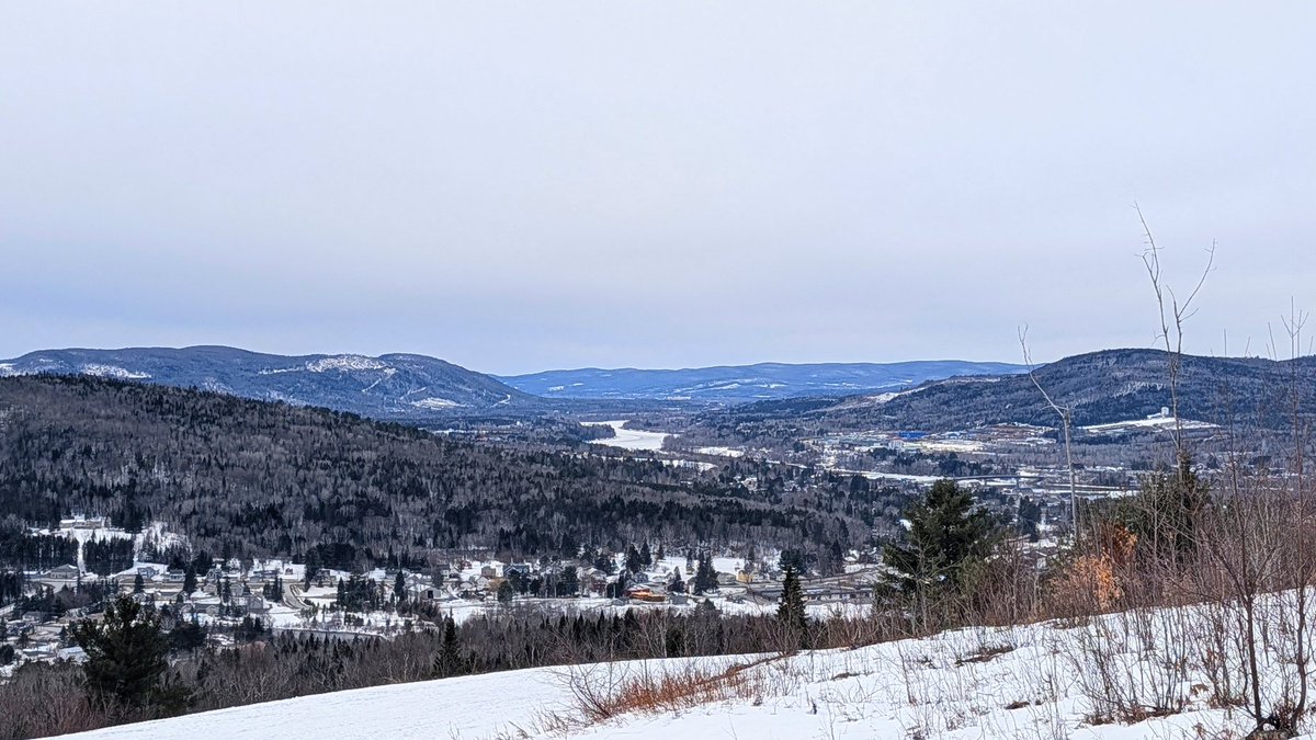 Soul Fur tweet media