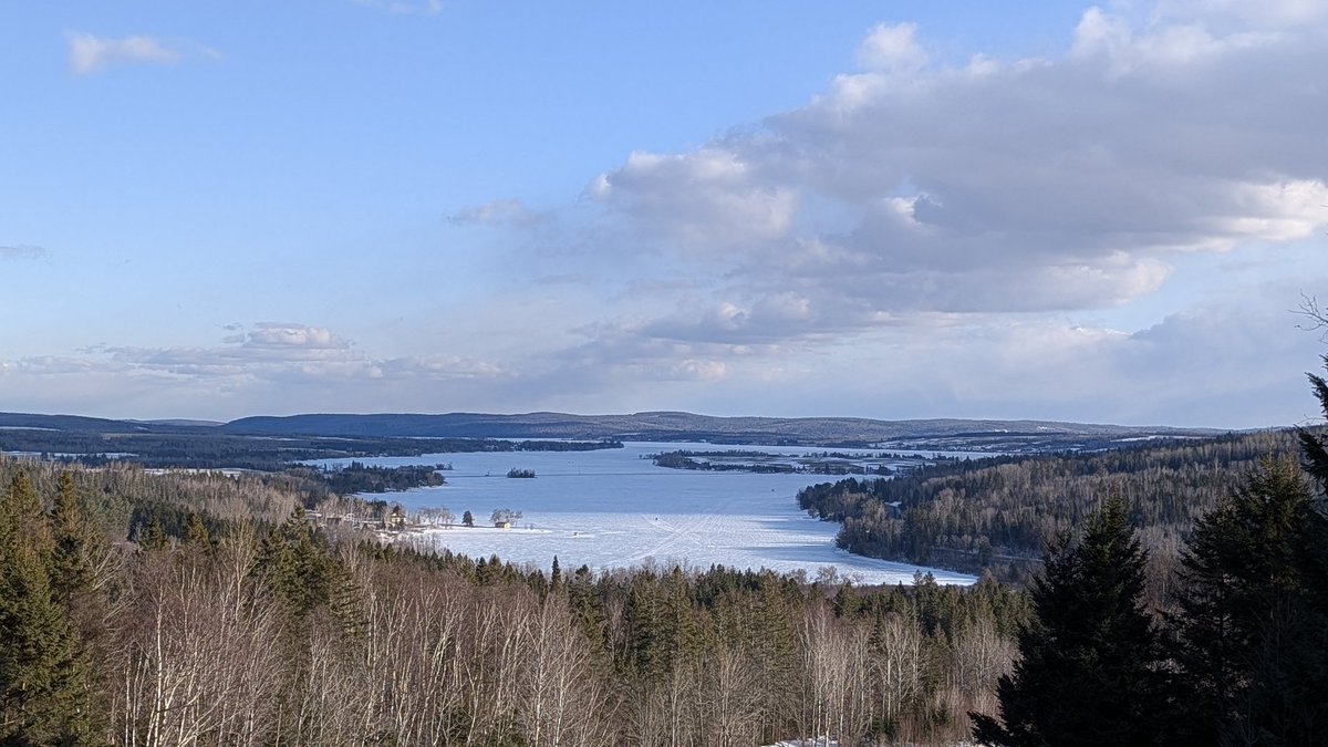 Soul Fur tweet media