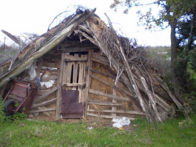 ً DO IT DO IT tweet media