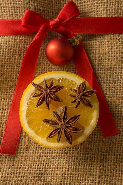 Maria Wagner tweet media