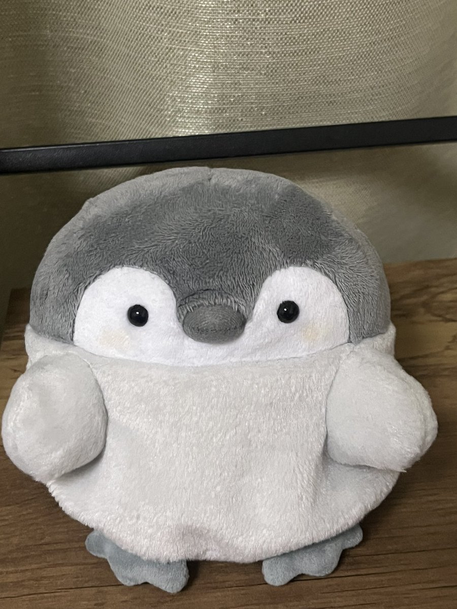 コウペンちゃんは永久に不滅です