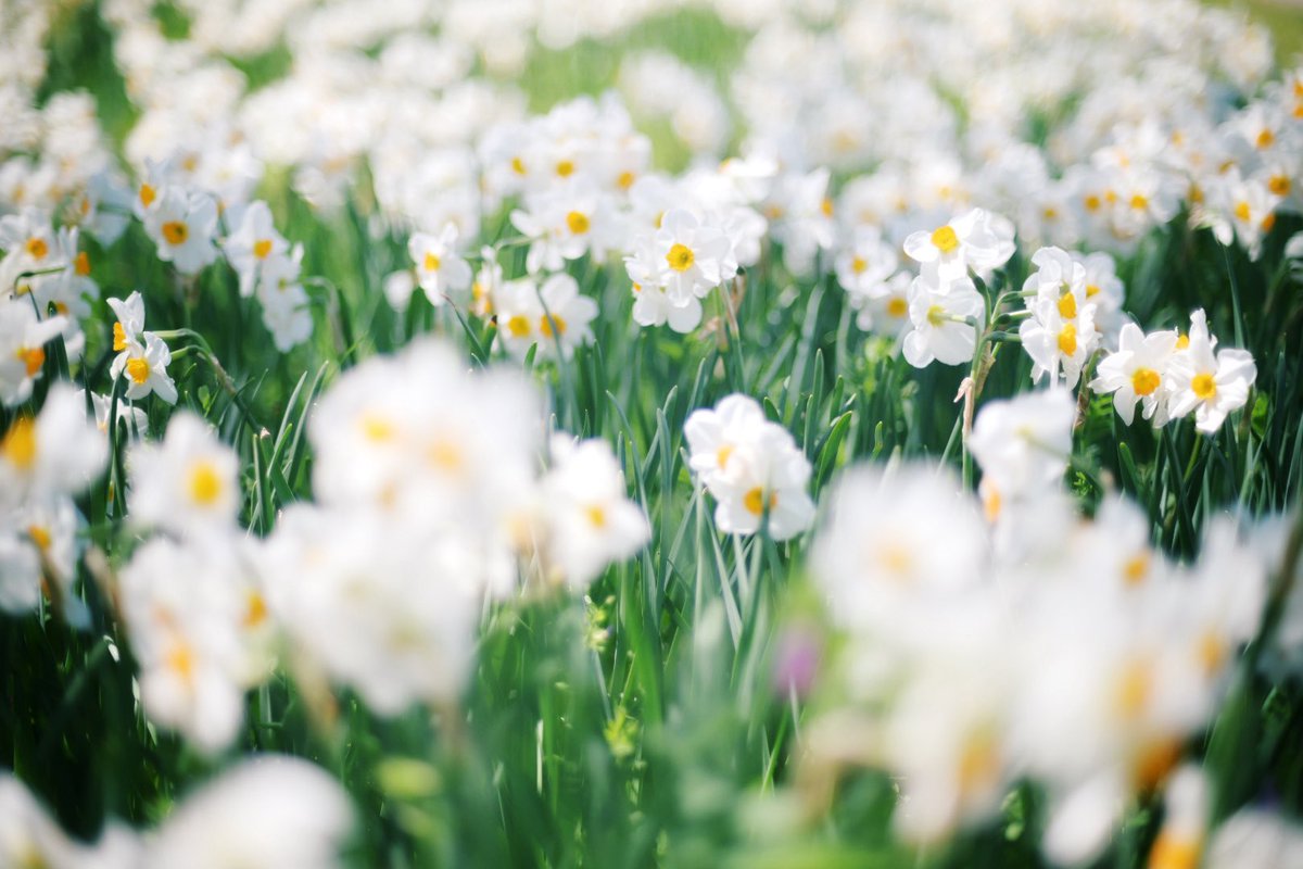 kazu@photo tweet media