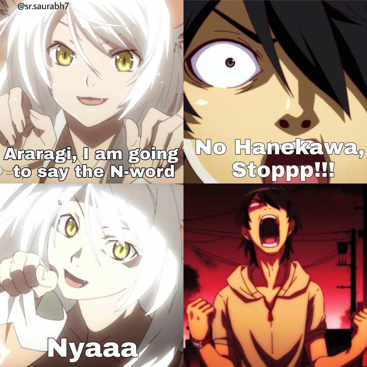 Daily Hanekawa 🐱 tweet media