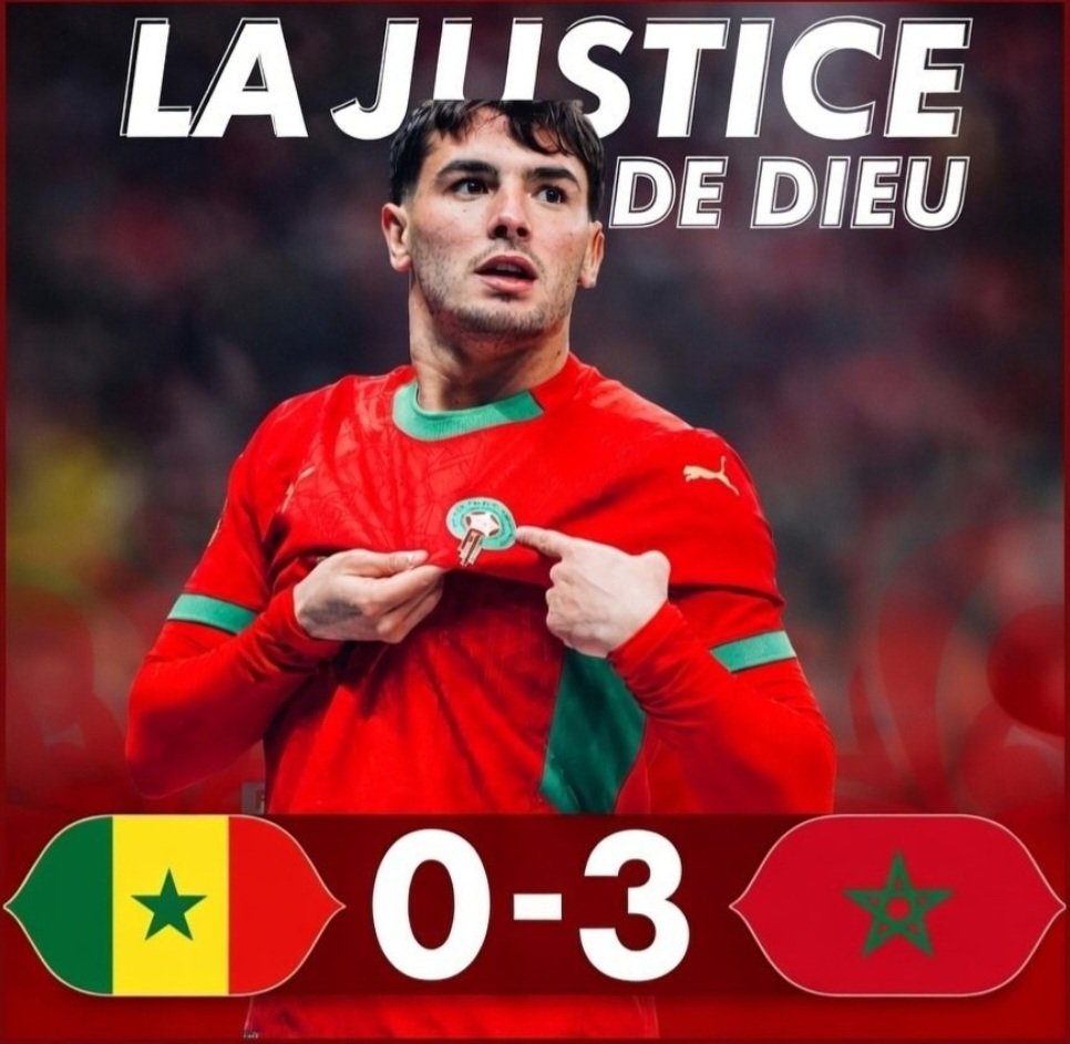 🇲🇦 tweet media