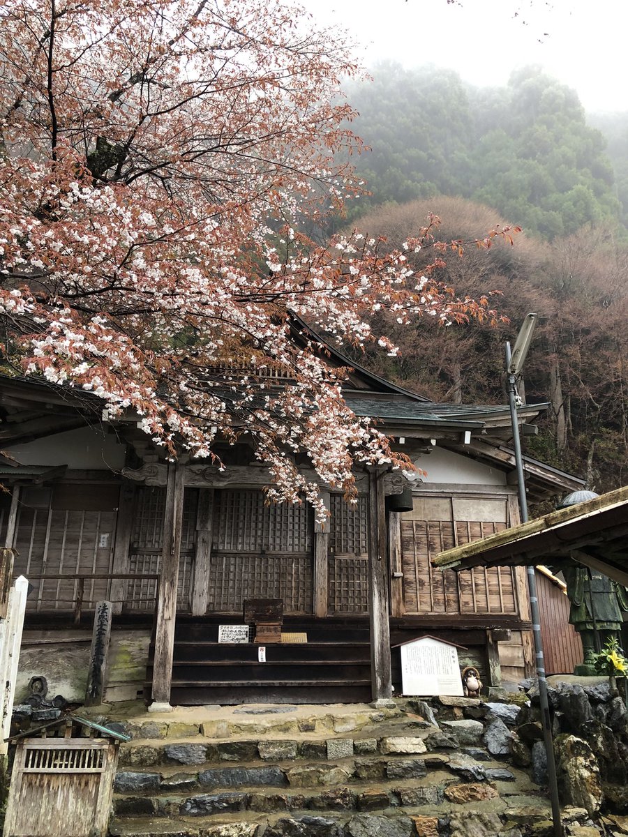 月輪寺【公式】 tweet media