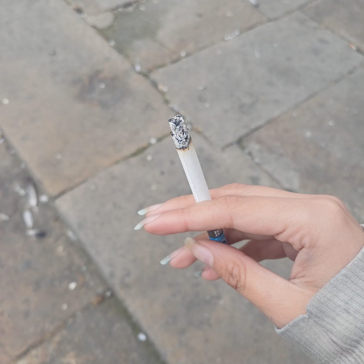 𝐀𝐥𝐢𝐜𝐞⸸| suspendida x3 tweet media