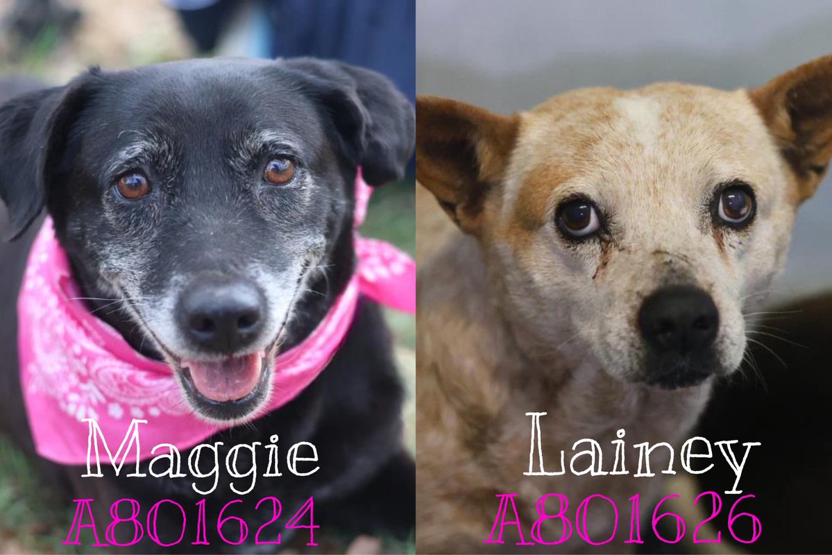 Aurora ⸆⸉ misses Liam ❯❯❯❯ tweet media