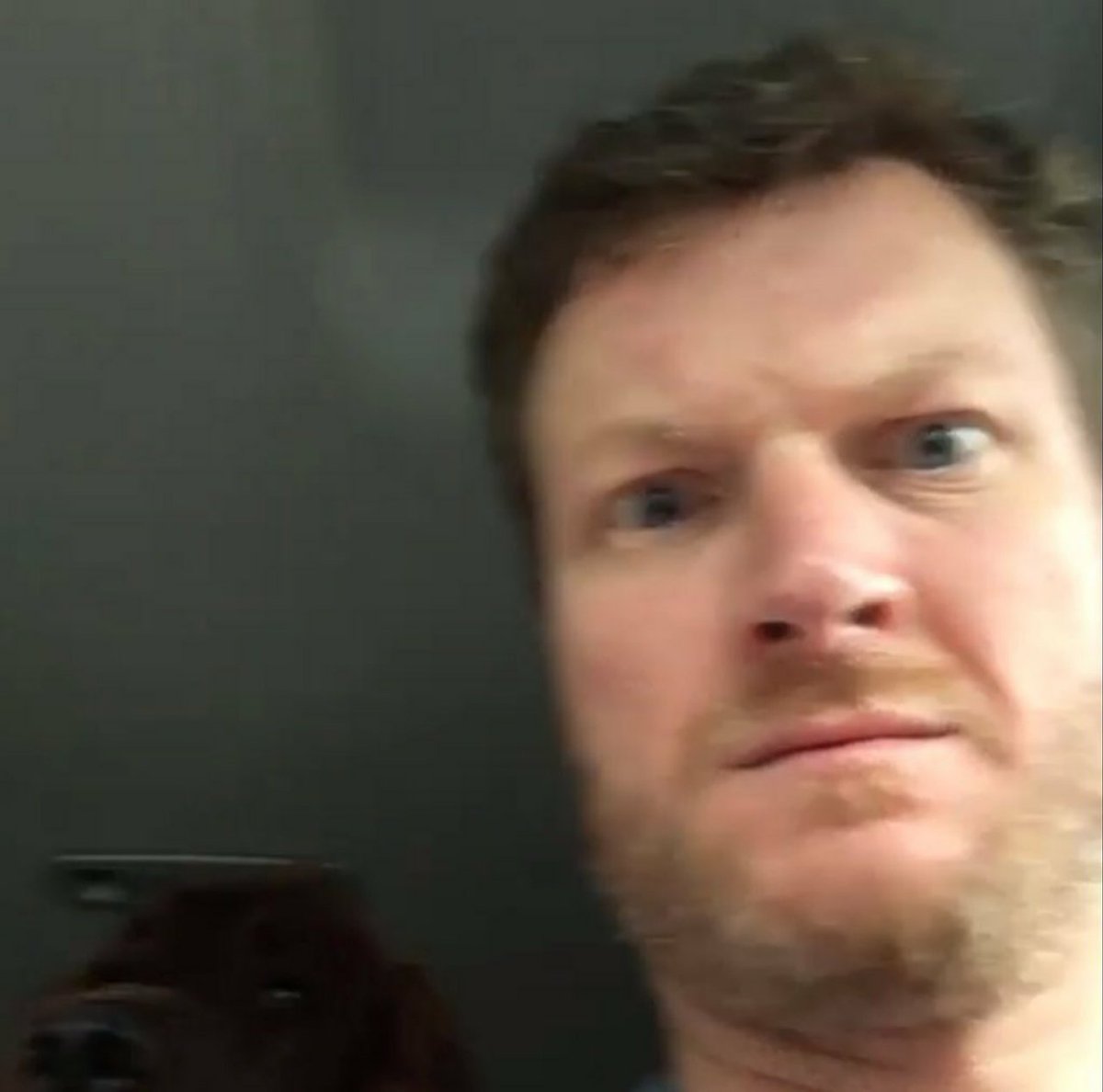 Gio🏁🐊 tweet media