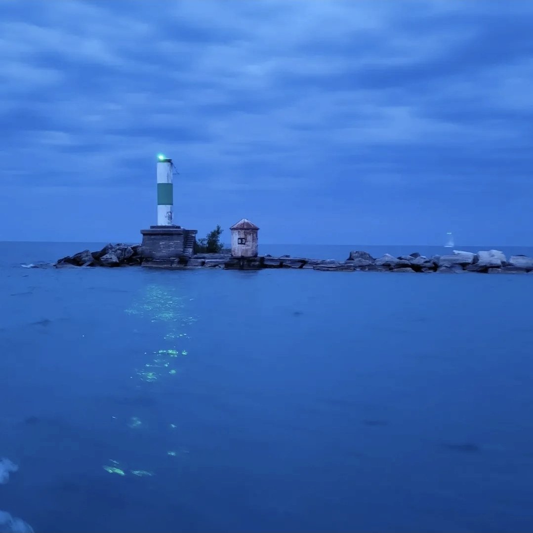 Lady Savvisaurus Hex | Tour Mom tweet media