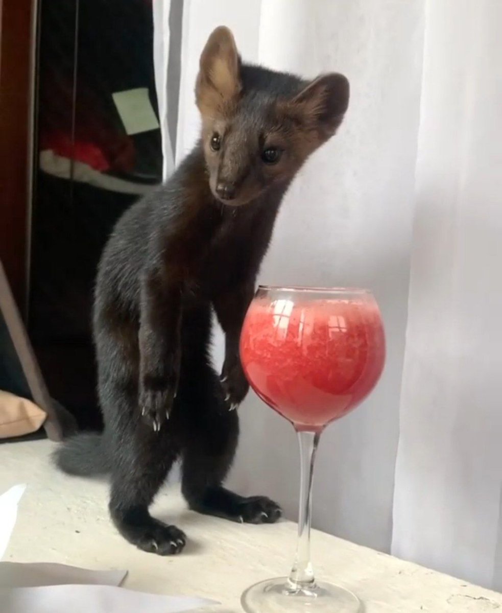 Bryn ➡️ Ac tweet media