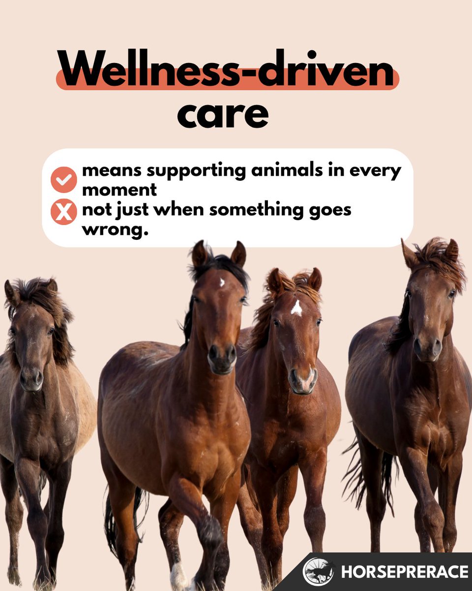 horseprerace's tweet image. Wellness-driven care means being there every day—not just when something goes wrong.
It’s about consistency, balance, and supporting your animals through every moment, big or small. 
#PreventiveCare #AnimalWellness #DailyCare #HorseCare #PetCare #HealthyAnimals #RoutineMatters
