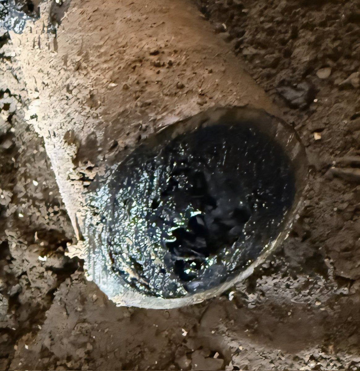 Ray W Johnson III tweet media