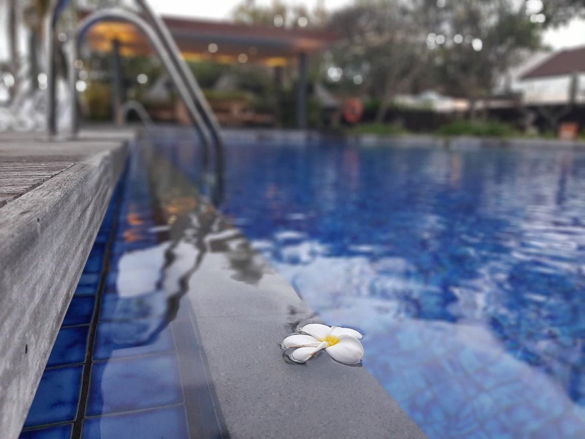 Miss Tweet | tweet media