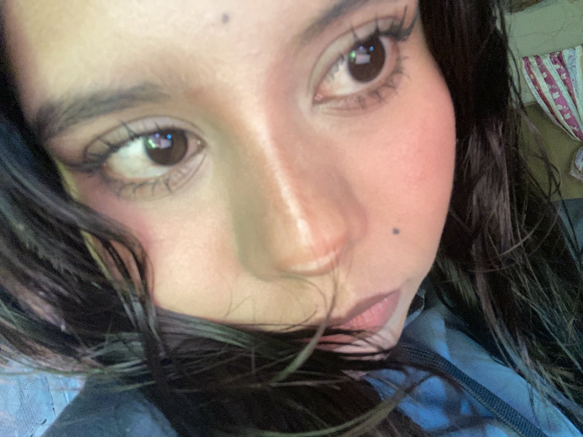 alfresi ꉂ(˵˃ ᗜ ˂˵) tweet media