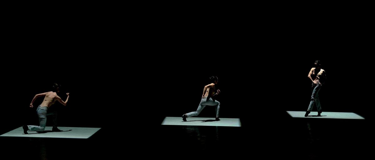 CulturaUNAM's tweet image. 🎶💃 De Bach a Villa-Lobos, y de Mozart a Beethoven y Stravinski, el @TCUNAMOficial despliega cinco coreografías de Gloria Contreras y Michelle Cutri. Clásicos musicales de clásicos en movimiento que ningún amante de la #danza se puede perder, en nuestro templo: la Sala Miguel