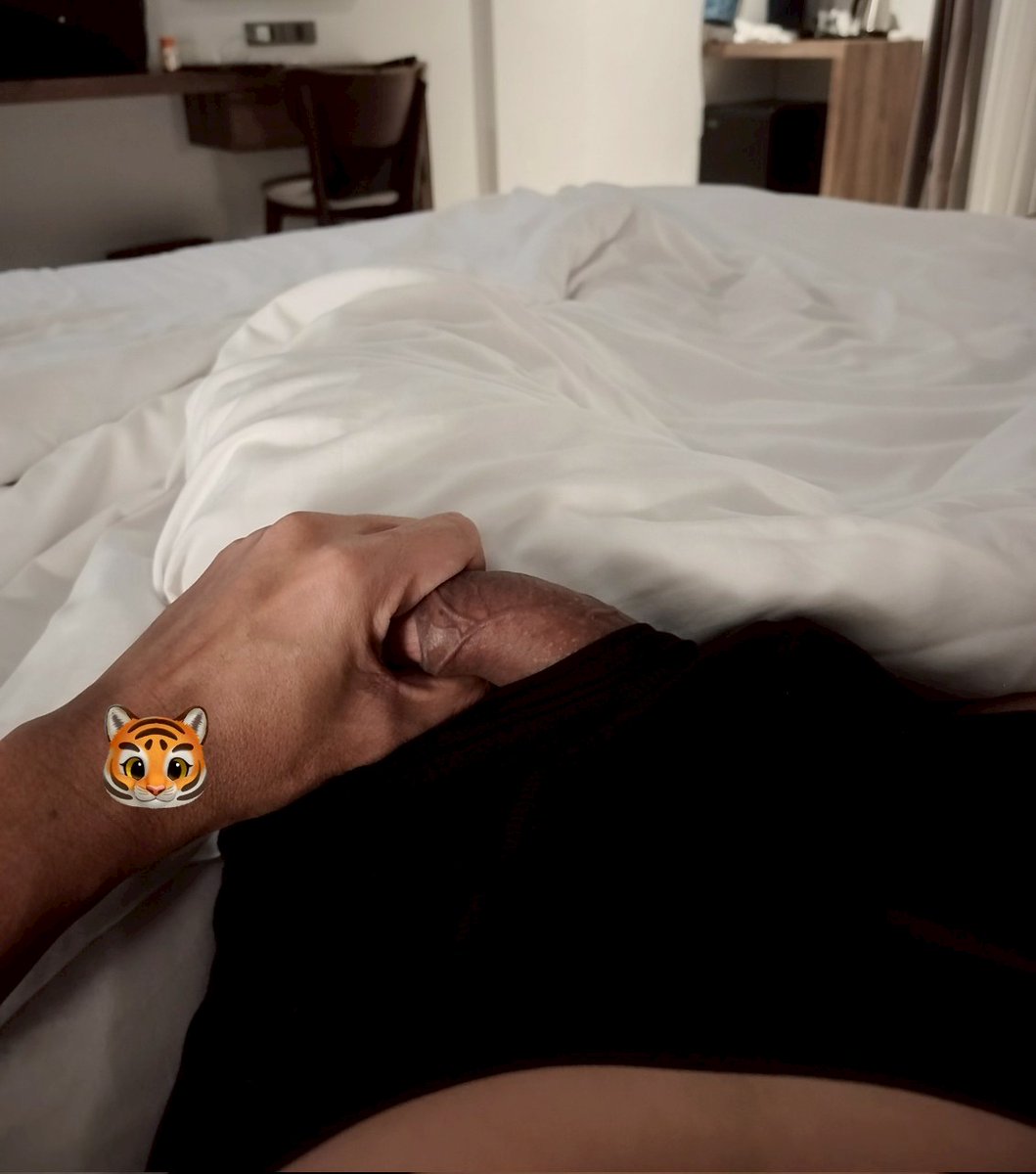 พี่เสือท่องโลก 🐯 Biman tweet media