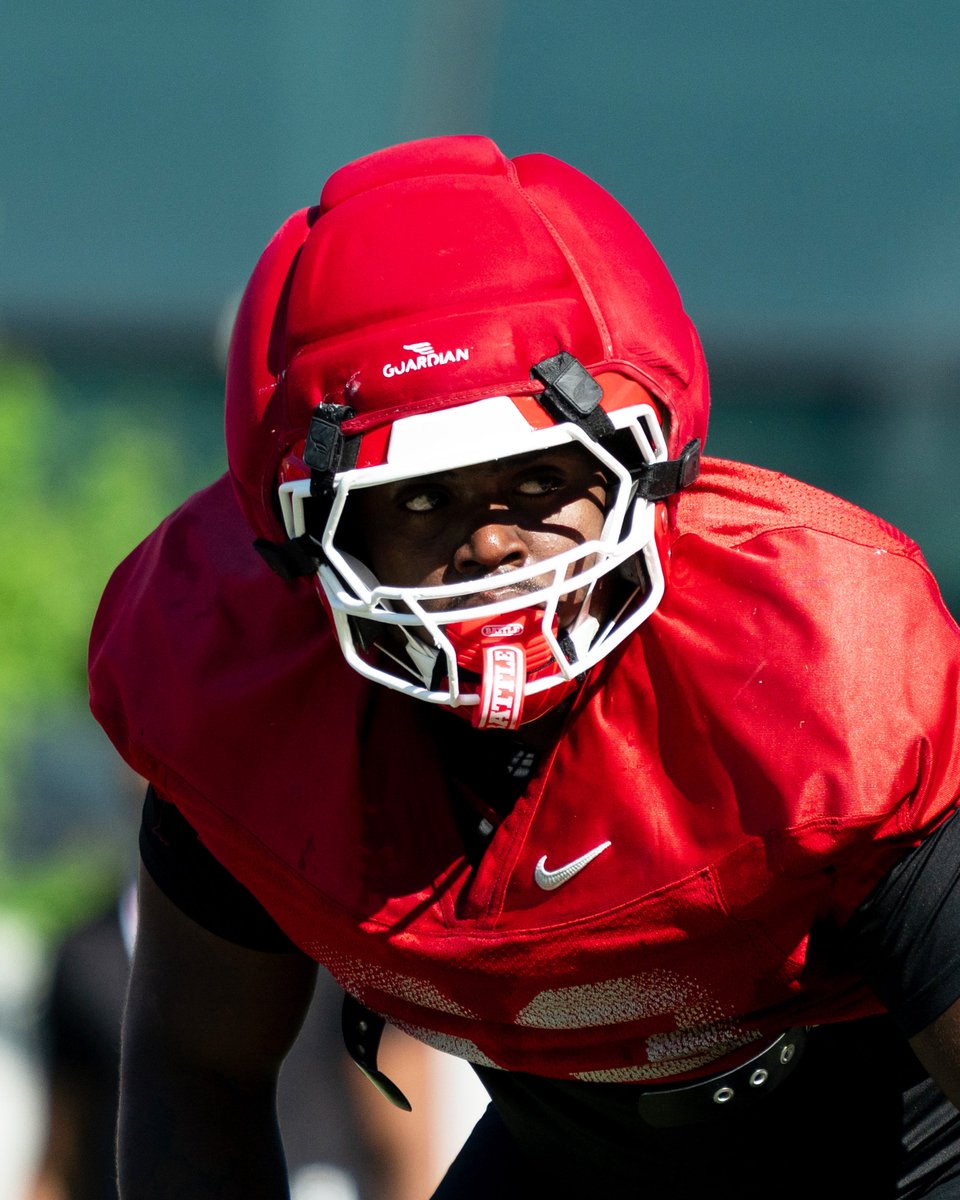 GeorgiaFootball's tweet image. Stacking the days.

#GoDawgs