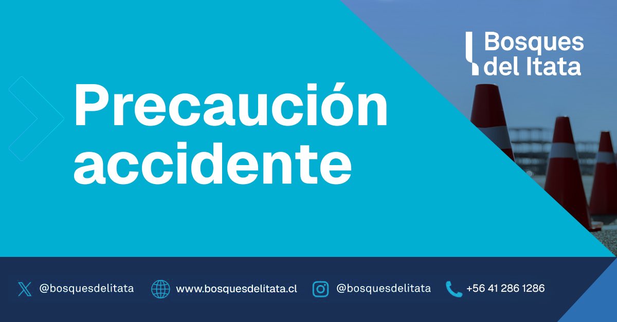 BosquesdelItata tweet media