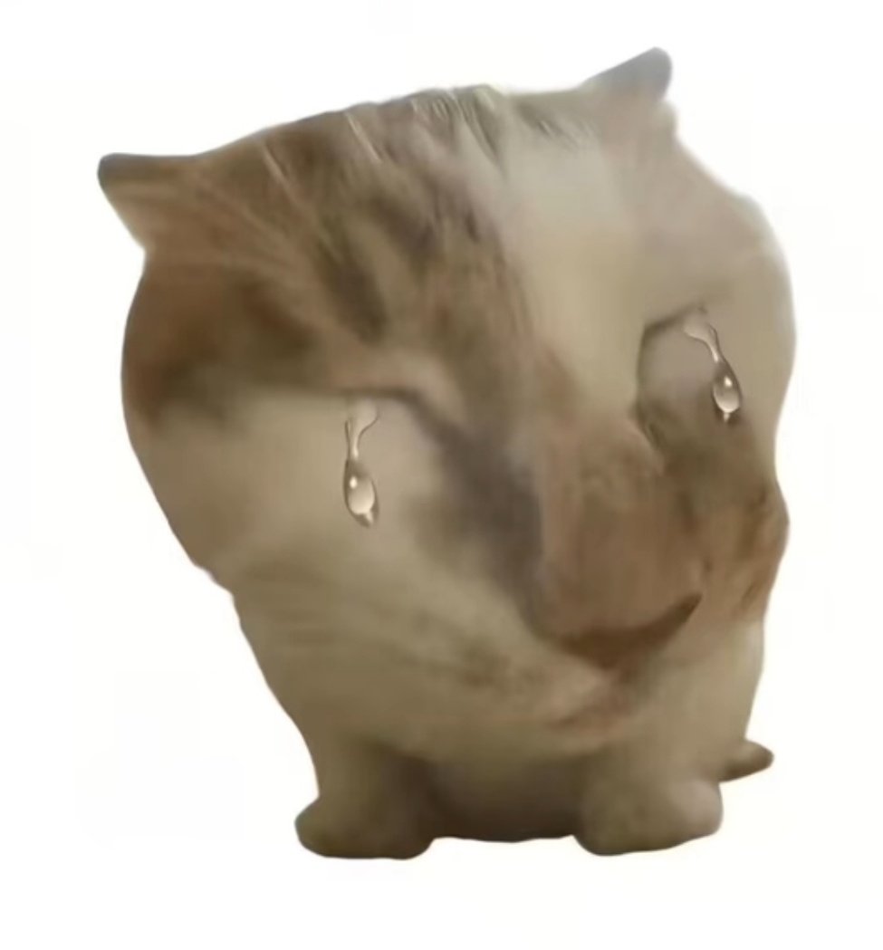 大笨蛋狐狸 tweet media