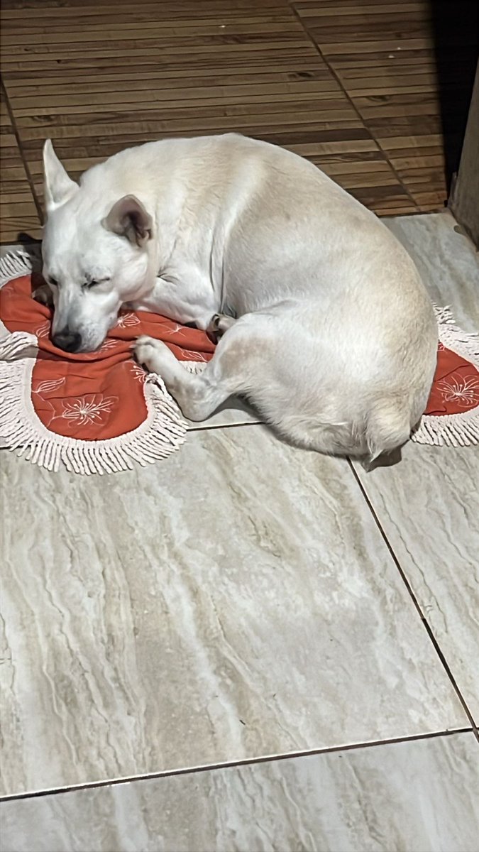 Jonathan Walter tweet media