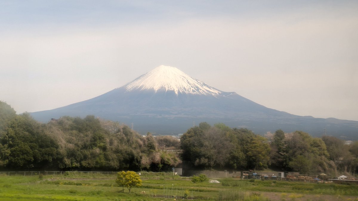 蒸留院フラスコ@７0日後にデビューする元てらめたる学園 3期生⚗️ tweet media