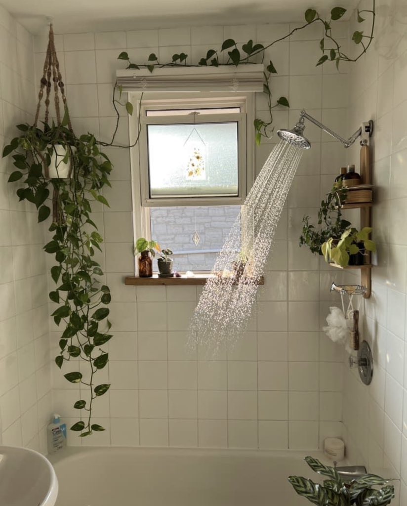 𝑒𝑙𝑦𝑟𝑎 tweet media